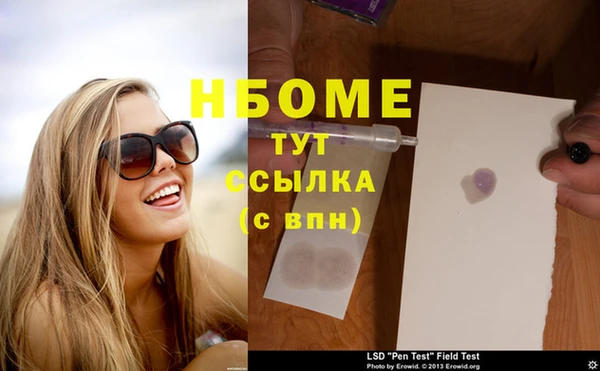 шишки Корсаков