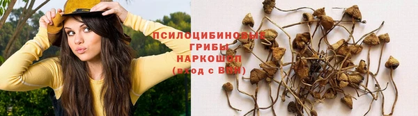 сатива Краснослободск