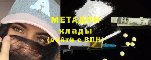 шишки Корсаков