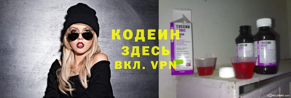 шишки Корсаков