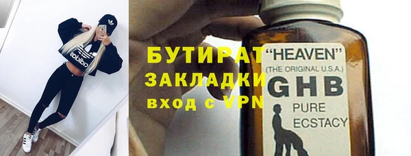 шишки Корсаков