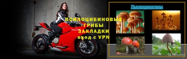 шишки Корсаков