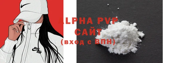 шишки Корсаков