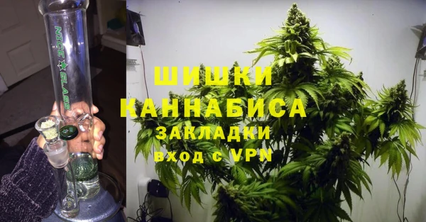 шишки Корсаков