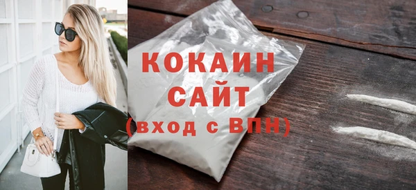 шишки Корсаков