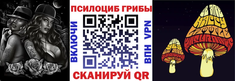 Псилоцибиновые грибы Cubensis  как найти закладки  Кувшиново 